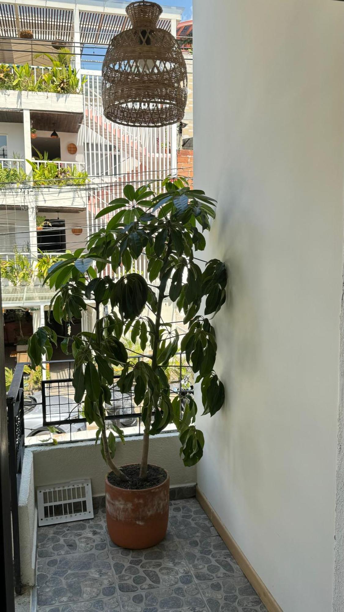 Luum Casa Hotel Manila Medellin Luaran gambar